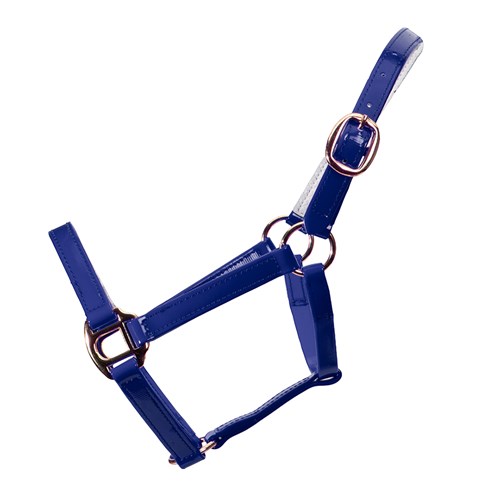HSN5400L BL-01